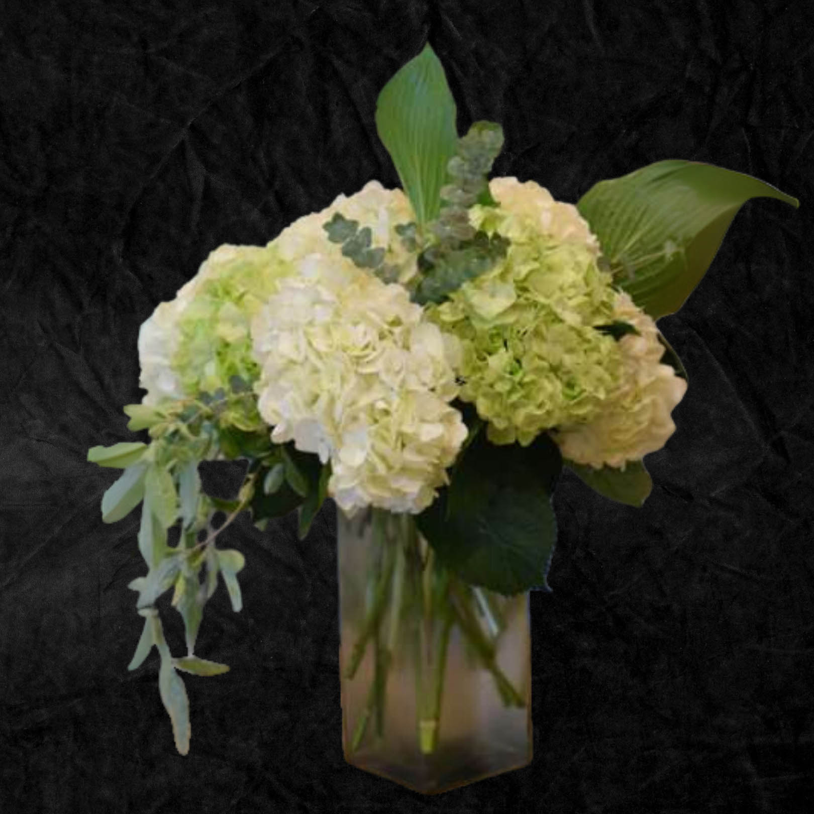 Galas/corporate - 11