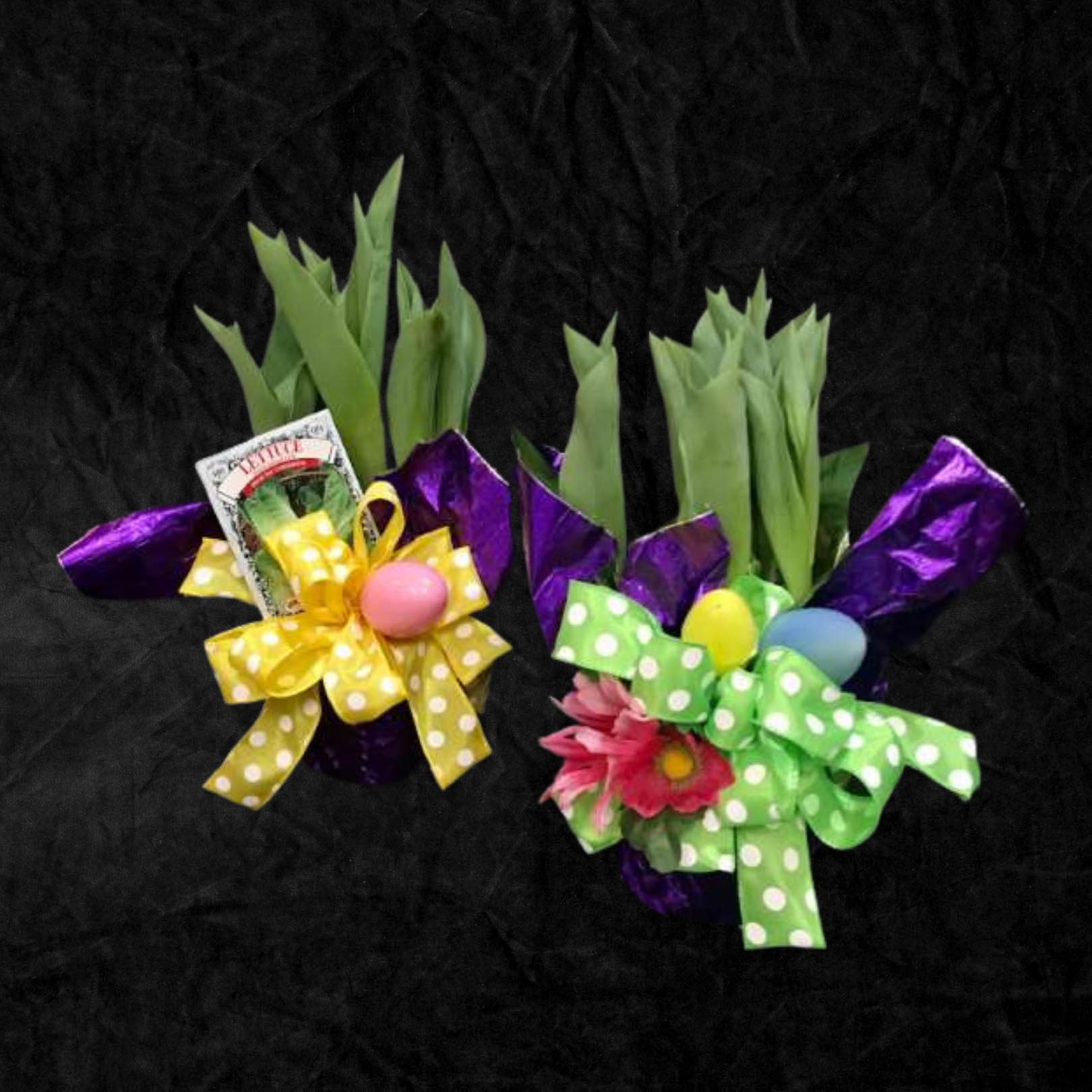 Seasonal selections - 27