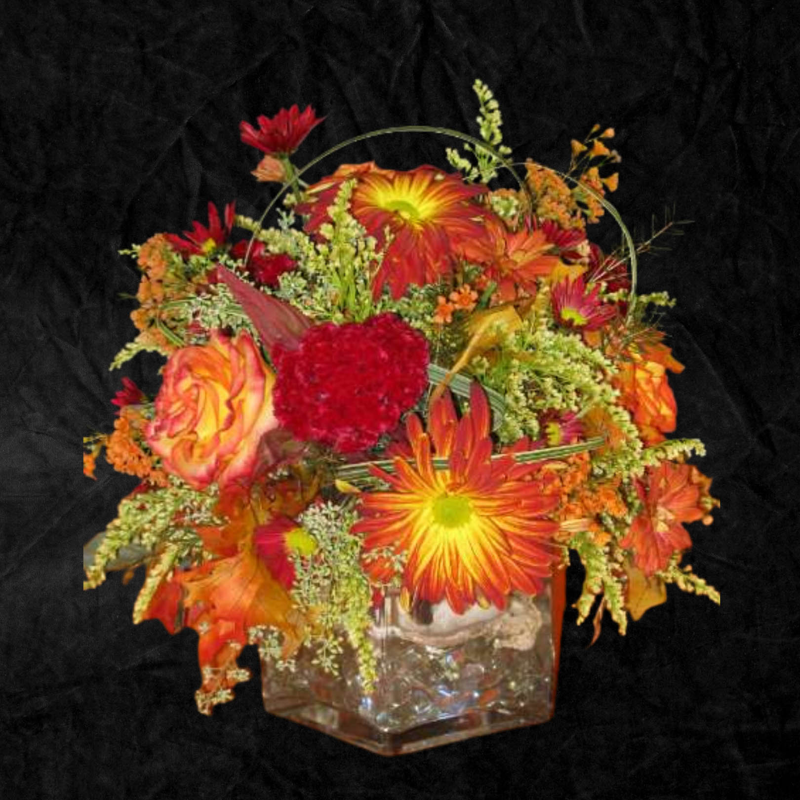 Seasonal selections - 36