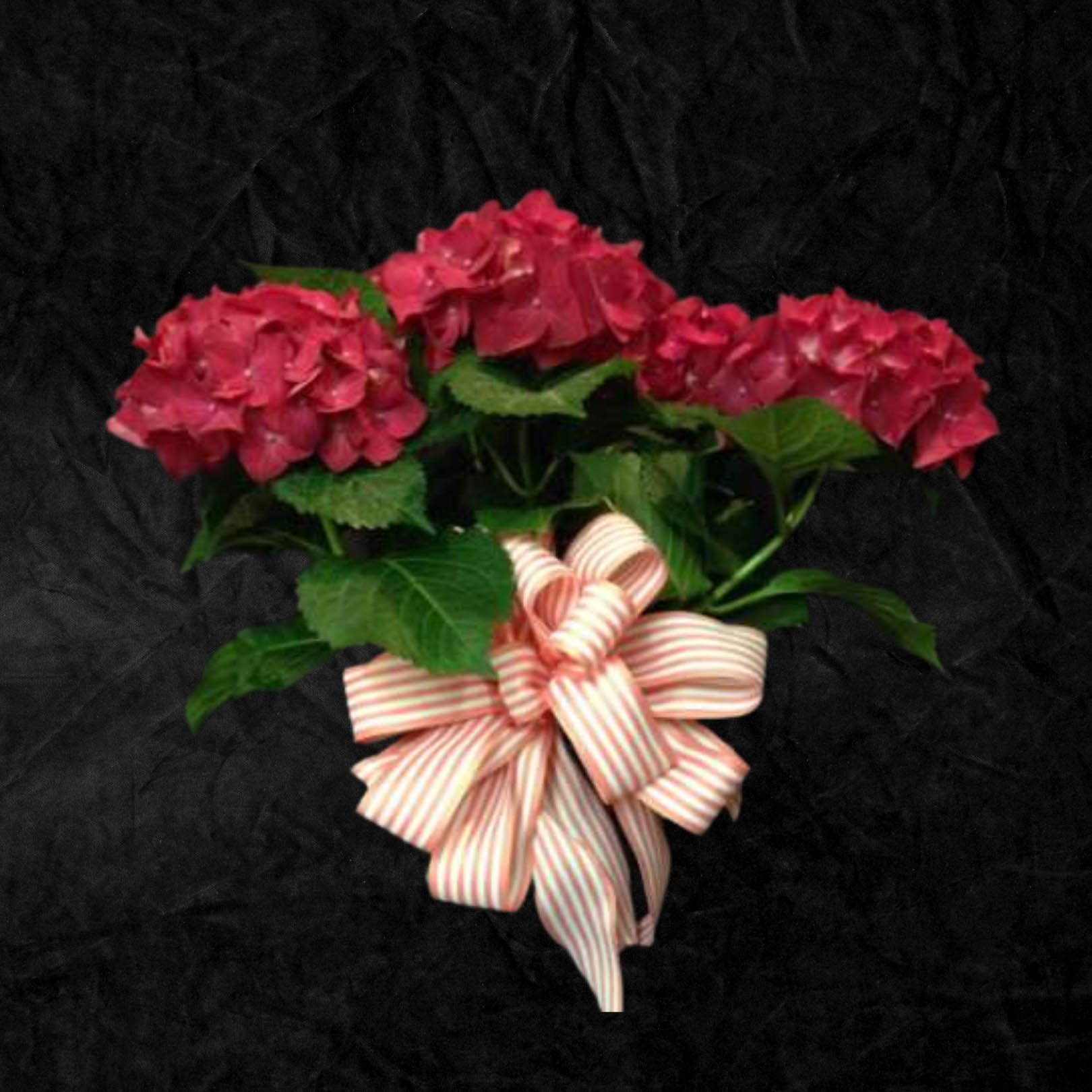 Seasonal selections - 4