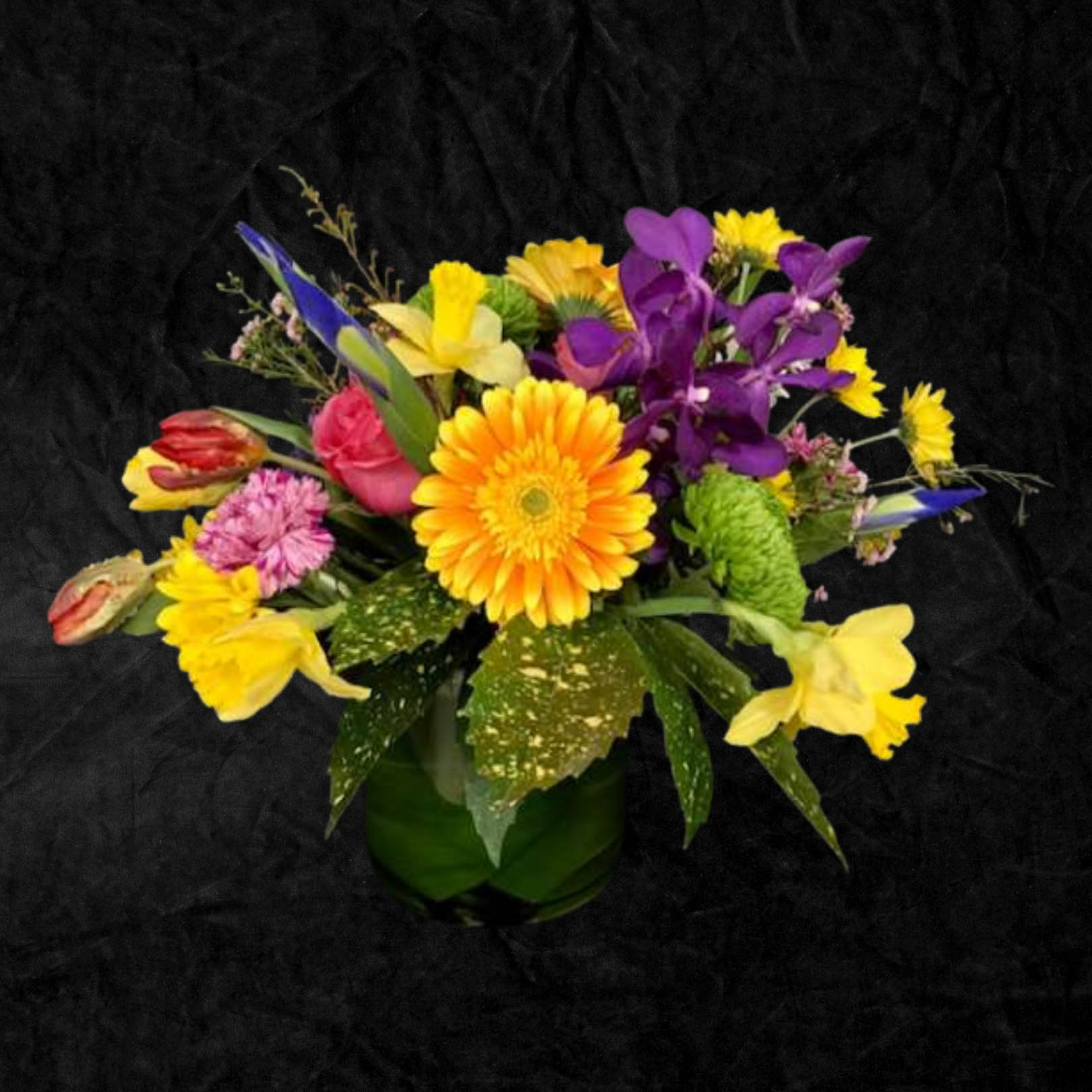 Seasonal selections - 56