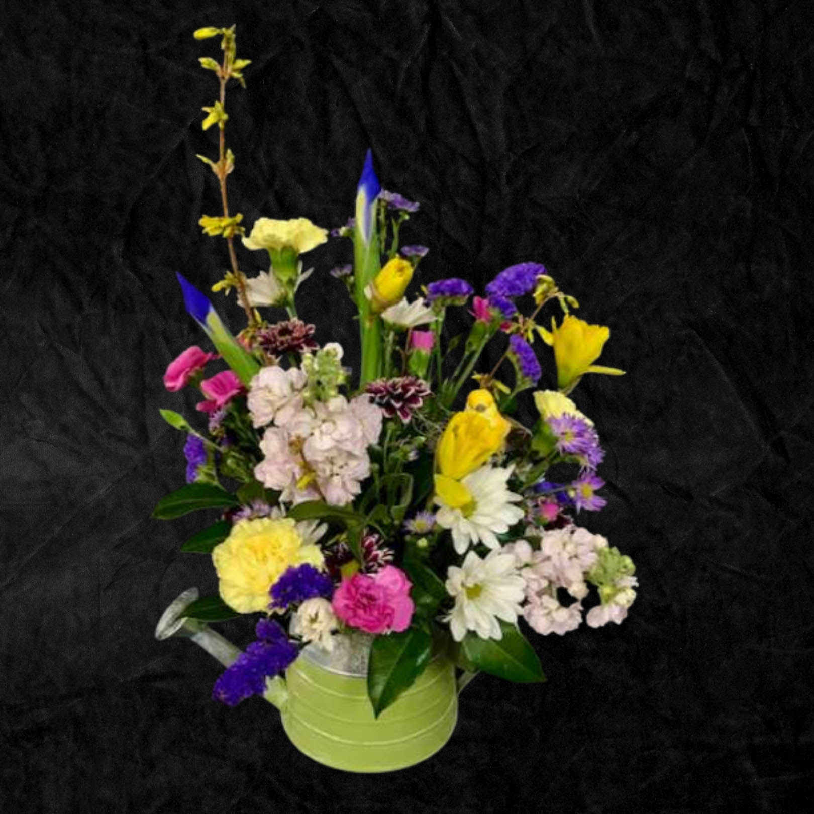 Seasonal selections - 58